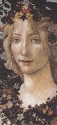 Sandro Botticelli Primavera Sweden oil painting artist